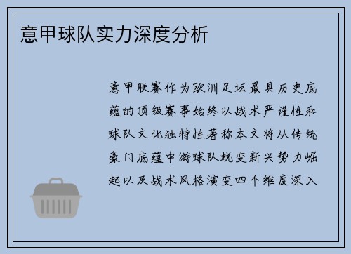 意甲球队实力深度分析